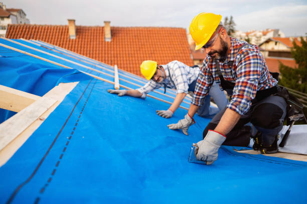 Fast & Reliable Emergency Roof Repairs in Nevada, MO